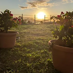 Hébergement de vacances Airport Garden, Fa'a'ā